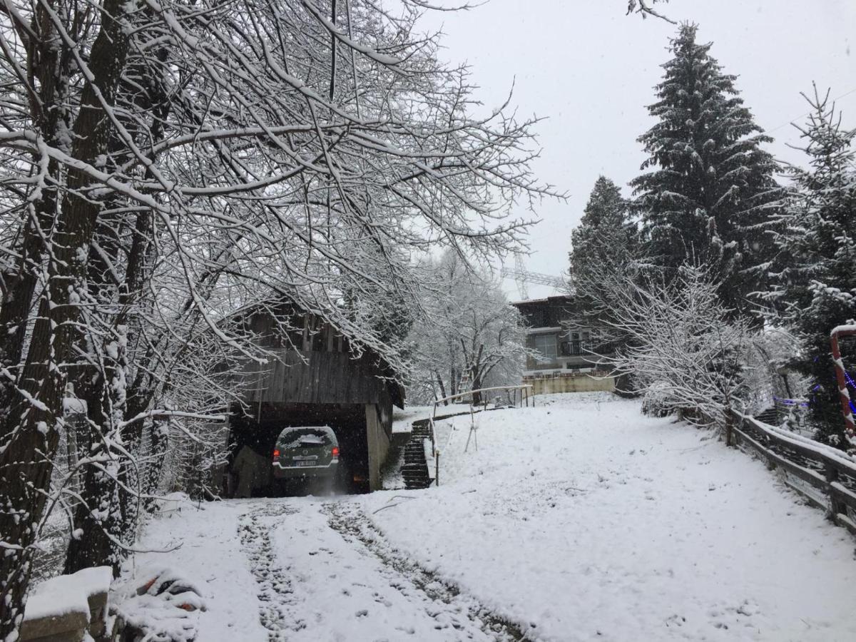 Bran And Breakfast Guest House Exterior photo