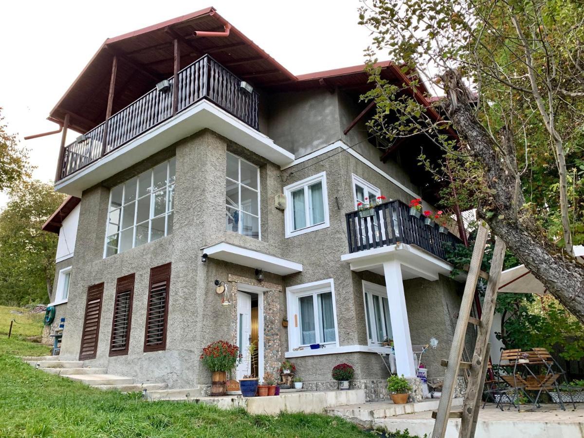 Bran And Breakfast Guest House Exterior photo